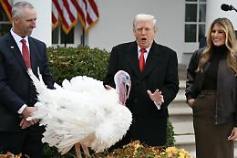 Trump grazia un tacchino nel Giorno del Ringraziamento e imita il suo gloglottio: il video è virale