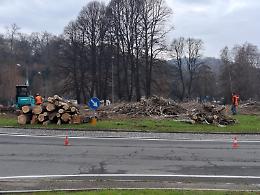 Pioppi abbattuti all’ingresso di Ivrea: gode solo "Poltrone e Sofà".  La denuncia: “Gli ambientalisti, dove siete finiti?”. 