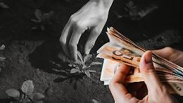 Borgaro, 5.000 euro per un'aiuola: scoppia la polemica. "E' inutile, pagano i cittadini!"