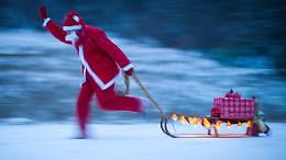 L'incendio le distrugge la casa, i Babbi Natali corrono per lei: raccolta fondi per "Betty"