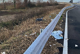 Caluso, la nuova circonvallazione è già una discarica: residenti esasperati