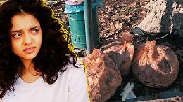 Canavese, tra sacchi e foglie: davvero nel 2026 c’è ancora bisogno di spiegare come si usa la spazzatura?