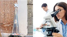 A Gassino Torinese un albero di Natale fatto di tappi di plastica: un aiuto per i malati di cancro