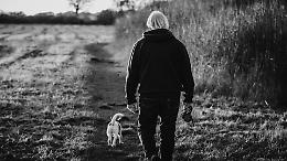 Muore solo in casa e il cane tenta di salvarlo a morsi prima di lasciarsi morire accanto a lui