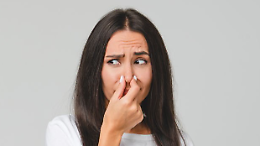 Odori insopportabili a Mappano: il report che rivela la portata del problema