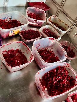 Shisha bar sotto la lente dei Nas a Torino, sequestrati 11 chili di melassa di contrabbando e multe per 55mila euro (FOTO&VIDEO)