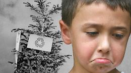 Un albero di Natale strappato ai bambini, vandalismo notturno in una scuola dell&rsquo;Alto Canavese