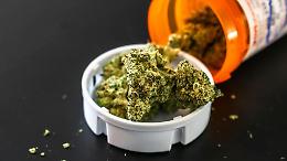 Cannabis shop sotto la lente a Verbania, prodotti oltre i limiti e scatta il sequestro