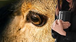 Ceneri degli animali accanto ai padroni: all'elenco dei Comuni piemontesi s'&egrave; unito anche Monteu da Po