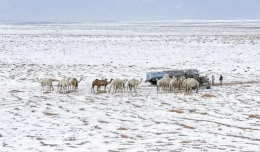 Neve nel deserto saudita: dune imbiancate e uno scenario mozzafiato (VIDEO)