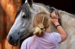 San Savino 2026, ritorna il direttore artistico (anche se non si &egrave; mai visto)