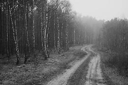 Sabato di paura: padre e figlio si perdono nel bosco, salvati grazie alla geolocalizzazione