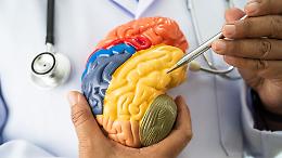 Connettivit&agrave; cerebrale: la "terza via" che potrebbe rivoluzionare la lotta all'Alzheimer