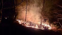 Si perde nei boschi e accende un fuoco per farsi notare: nasce un vasto incendio, una donna denunciata