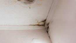 Infiltrazioni dall&rsquo;alloggio in affitto: quando il proprietario non risponde dei danni