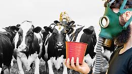 Se l&rsquo;aria &egrave; pi&ugrave; pulita con le stalle aperte, chi ha davvero inquinato finora le nostre citt&agrave;?