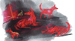 NOPet, liberi e randagi: quando il cinema mette in discussione l&rsquo;idea di possesso