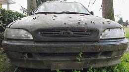 Alessandria, stretta sui veicoli fantasma lasciati a marcire