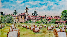 Tradizioni Vive compie 12 anni e rilancia la cultura popolare tra lingua, memoria e nuove generazioni