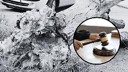 Travolto da un albero durante il nubifragio: condannati due funzionari Anas per la morte del tassista Ezio Cauda