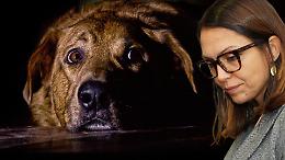 A Settimo cani senz'acqua che vivono tra le proprie feci. Cacciatore denunciato. Sindaca assente