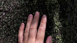 La Pianura Padana ha l&rsquo;aria pi&ugrave; inquinata d&rsquo;Europa, ma la soluzione cresce sotto i nostri occhi