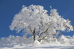Neve fresca e cielo terso tra Prato Nevoso e Monte Malanotte, il Cuneese regala un inverno da cartolina (FOTO)