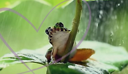 Giornata mondiale delle zone umide: Ivrea celebra la biodiversit&agrave; al Parco Lago di Citt&agrave;