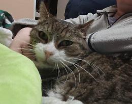 Siria se n&rsquo;&egrave; andata in silenzio, dopo aver conosciuto l&rsquo;amore solo alla fine