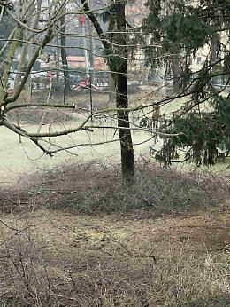 Fervet opus al parco Martinotti: il lavoro silenzioso che prepara il futuro