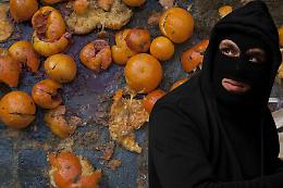 Allarme truffa al Carnevale di Ivrea. E scoppia il caos...