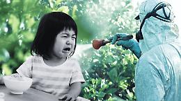 Carne agli ormoni e riso ai pesticidi sulle nostre tavole: 6 mila agricoltori a Torino dicono basta al cibo senza regole