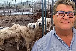 Cani nel fango a Carmagnola: tra i proprietari c&rsquo;&egrave; l&rsquo;assessore all'ambiente... Deve dimettersi!