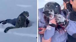 Si avvicina al leopardo delle nevi per una foto e viene sfigurata (VIDEO)