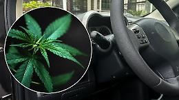 Droga alla guida, colpo di scena della Consulta: "Non basta averla assunta per essere puniti"