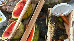 "Eccedenze vantaggiose": incontro sullo spreco alimentare 