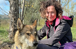 Quando un cane o un cavallo ti insegna a tornare umano