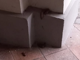 Escrementi sui muri sotto i portici: il paese sprofonda nel degrado, &egrave; polemica