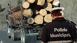 Tir di legname finisce fuori strada a Chieri: traffico rallentato per ore