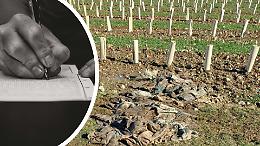 Alberi da sradicare per il bacino? A Montanaro esplode la rivolta: &ldquo;La natura non si sposta&rdquo;