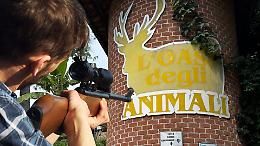 Ancora spari a pochi metri dall&rsquo;Oasi degli Animali: dopo la morte di Igor nulla &egrave; cambiato