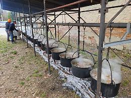 Il paese festeggia il Carnevale in piazza Bava