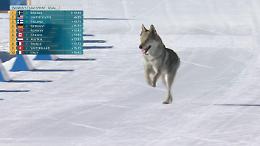 Milano Cortina, cane irrompe sulla pista di Tesero e taglia il traguardo con le atlete: &laquo;Ci hanno detto che c&rsquo;era un lupo&raquo; (VIDEO)