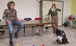 Il cane entra in corsia: a Ciri&egrave; la Pet Therapy diventa parte della cura