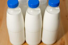 Latte, finita la festa? Un allevatore rompe il fronte delle proteste