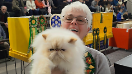 Leini, invasioni di baffi e fusa: quasi 2.000 visitatori alla Mostra Internazionale Felina