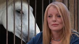 Stop alla macellazione dei cavalli, Brambilla rilancia: &ldquo;Serve una legge per tutelare gli equidi&rdquo;