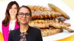 Mensa scolastica. Da Eutourist New a Authentica. Cambia tutto e non cambia niente, per&ograve; arriva il cuocipasta...