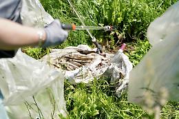 Una tonnellata di rifiuti nel verde, scoperti dopo un mese di indagini