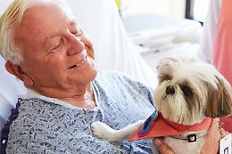 Pet therapy, il Consiglio comunale ha detto s&igrave;: approvata all&rsquo;unanimit&agrave; la mozione della Lega